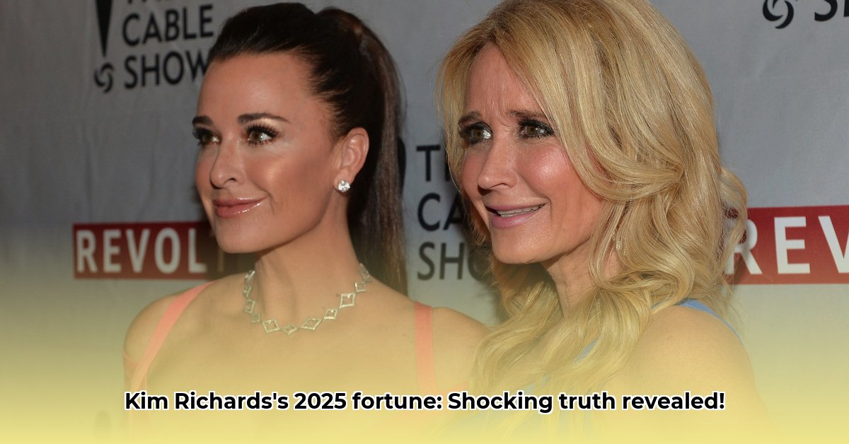 kim-richards-net-worth